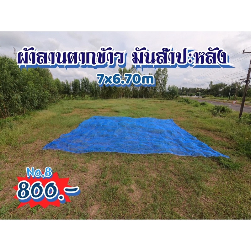 มุ้งไนล่อนฟ้า-6x7เมตร-มุ้งเขียว-ตาข่ายเขียว-ผ้าลานตากข้าว-มันสำปะหลัง-เบอร์8-พร้อมส่ง