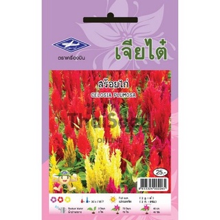 ภาพขนาดย่อของภาพหน้าปกสินค้าCTFW เมล็ดพันธุ์ดอกไม้ สร้อยไก่คละสี 0.1กรัม ตราเจียไต๋ เมล็ดดอกไม้ Celosia Plumosa จากร้าน thaiseedonline บน Shopee ภาพที่ 3