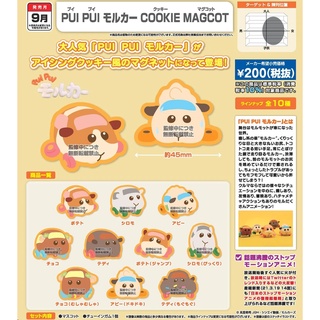 [Pre-order:2021-09] Bandai Candy Toy PUI PUI MOLCAR COOKIE MAGCOT W/O GUM SET