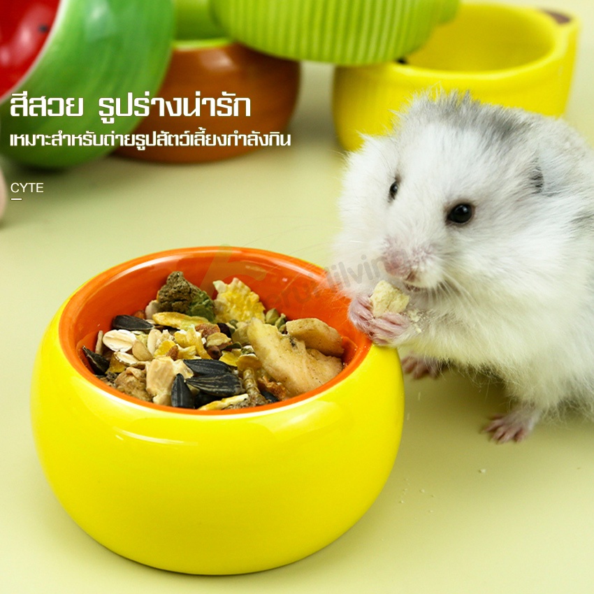 ชามอาหารเซรามิก-ชามอาหารหนูแฮมสเตอร์-ที่ใส่อาหารสัตว์เลี้ยง-ถ้วยกลมเซรามิคใบเล็ก-ป้องกันการพลิกควํ่า-สําหรับใส่อาหารหนู