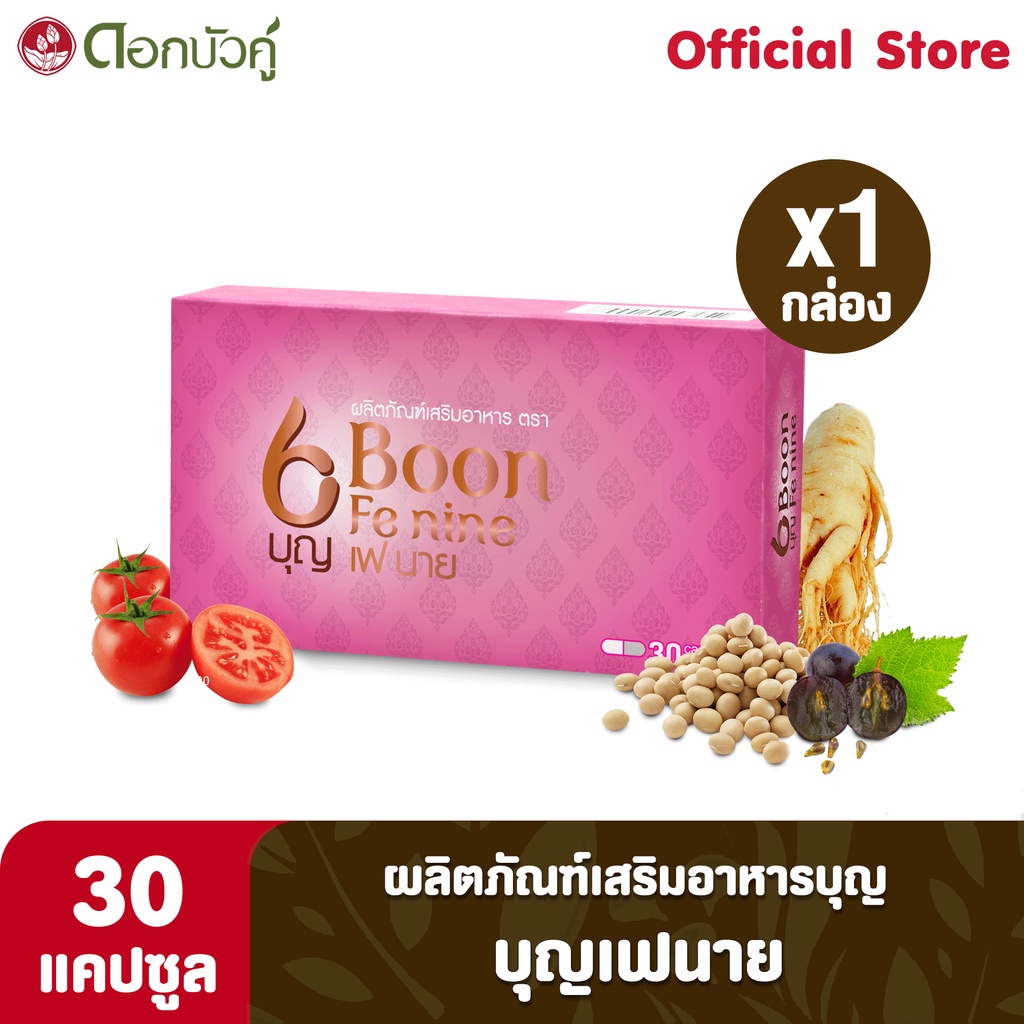 ผลิตภัณฑ์เสริมอาหารบุญเฟนาย-30-แคปซูล-1กล่อง