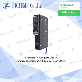 ลูกย่อยกันดูด เบรกเกอร์กันไฟรั่ว/ไฟดูด RCBO รุ่น 1 โพล ขนาด16,20,32A 30mA 6kA RCBO Schneider electric ของแท้ของใหม่100%