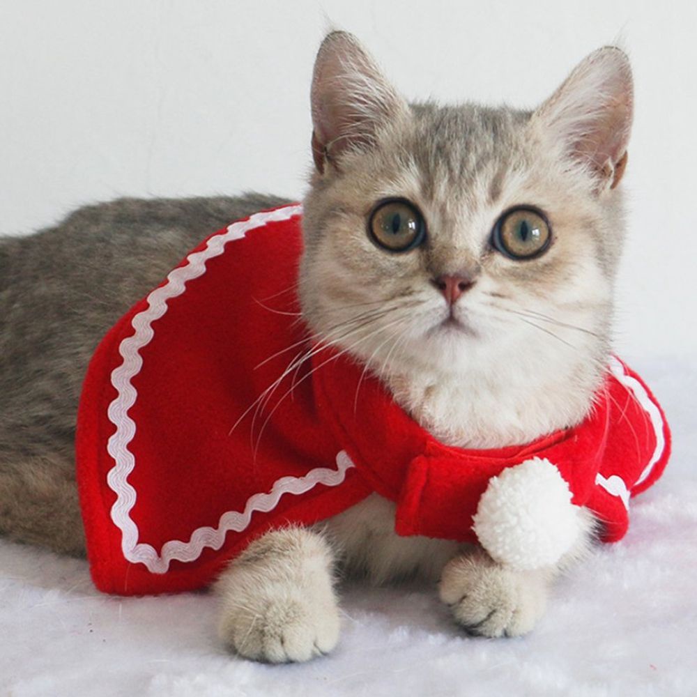 antione-funny-pet-cosplay-costume-xmas-pet-costume-pet-clothes-winter-pet-clothing-santa-claus-warm-cloak-hat-kitten-christmas-clothes