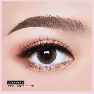 Lilly Gray Wink Lens (1)(2) สีเทา สุภาพ เรียบร้อย น่ารัก สายเกา มินิ Contact Lens คอนแทคเลนส์ ค่าสายตา สายตาสั้น ลิลลี่