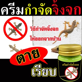 ⭐สูตรตายเรียบ⭐ ยากำจัดจิ้งจก 20 ml. เหยื่อกำจัดจิ้งจก กำจัดจิ้งจก ไล่จิ้งจก ไล่ตุ๊กแก กำจัดตุ๊กแก