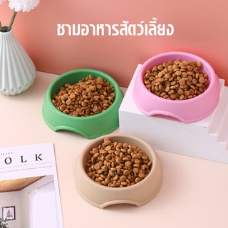 ชามอาหารสัตว์ แบบเดี่ยวก้นลึก สีสดใส