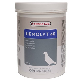 สินค้า VSL Hemolyt 40 ชนิดผง ฟื้นฟูกล้ามเนื้อ และซ่อมแซมส่วนที่บอบช้ำหลังการแข่งขัน บรรจุ 500 กรัม