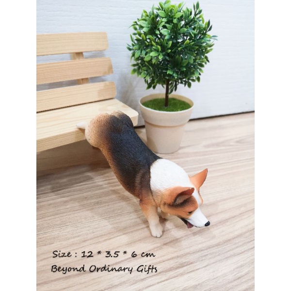 โมเดลคอร์-กี้-สามสีนอนยืดตัว-พร้อมส่ง-welsh-corgi-model