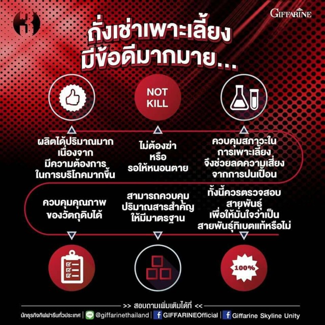 อาหารเสริมผู้ชาย-ถังเช่า-เสริมสมรรถภาพทางเพศชาย-กิฟฟารีน-เสริมพลังทางเพศชายเพื่อเพิ่มความแกร่ง-อึด-ทน-ขยาย-และเพิ่ม