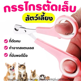 กรรไกรตัดเล็บ สัตว์เลี้ยงเล็ก ทำจาก สเตนเลส อุปกรณ์ตัดเล็บ