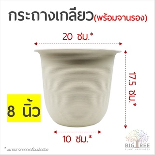 🗑กระถางเกลียว 8 นิ้ว ทรงกลมสวย🗑สีขาว-ครีม เนื้อหนา แข็งแรง ทนทาน ใช้ยาวนาน🌳กระถางพลาสติก กระถางต้นไม้ (พร้อมส่ง)