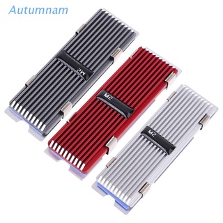 AUTU  M.2 SSD NVMe Heat Sink heatsink M2 2280 SSD Hard Disk Aluminum Heat Sink For PC