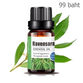 Aliztar 100% Pure Ravensara Essential Oil 10 ml น้ำมันหอมระเหยราเวนซาราแท้ สำหรับอโรมาเทอราพี เตาอโรมา เครื่องพ่นไอน้...