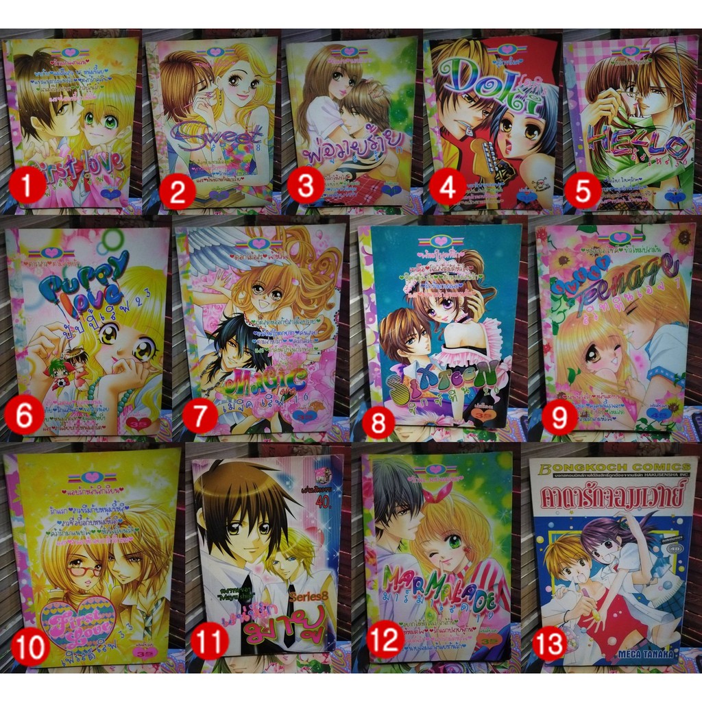 หนังสือการ์ตูนหมึกจีน-เล่มเดียวจบ