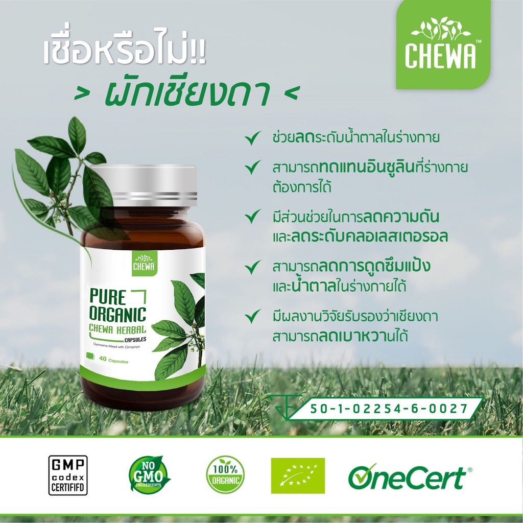 chewa-herbal-capsule-1กระปุก-ชีวาร์-ชีวาสมุนไพร-อาหารเสริม-ลดเบาหวาน-ลดน้ำตาล-สมุนไพร-เม็ดแคปซูล-ความดัน-ไขมันในเลือด