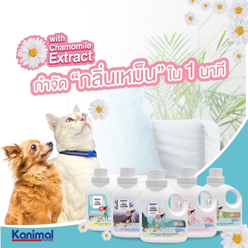 ภาพหน้าปกสินค้าKanimal Instanct Floor Cleaner ผลิตภัณฑ์ทำความสะอาดพื้น น้ำยาถูพื้น สำหรับสัตว์เลี้ยง กำจัดกลิ่นภายใน 1 นาที ขนาด 1 ลิตร จากร้าน starpetshop1 บน Shopee