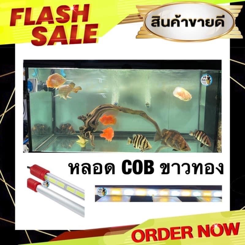 หลอดไฟปลามังกรทอง-รุ่นcob-ขาว-ทอง-ขนาด-120cm-150cm-และ-180cm