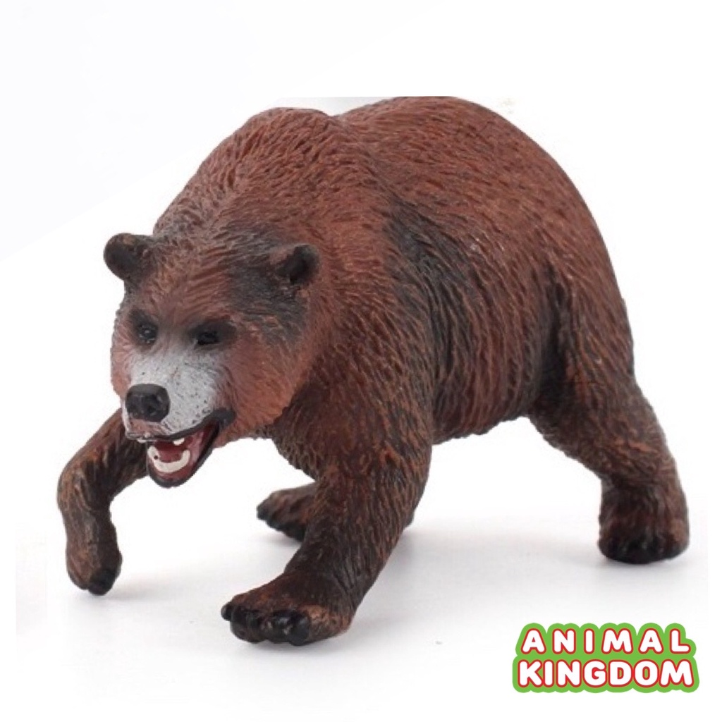 animal-kingdom-โมเดลสัตว์-หมีสีน้ำตาล-ขนาด-15-00-cm-จากหาดใหญ่