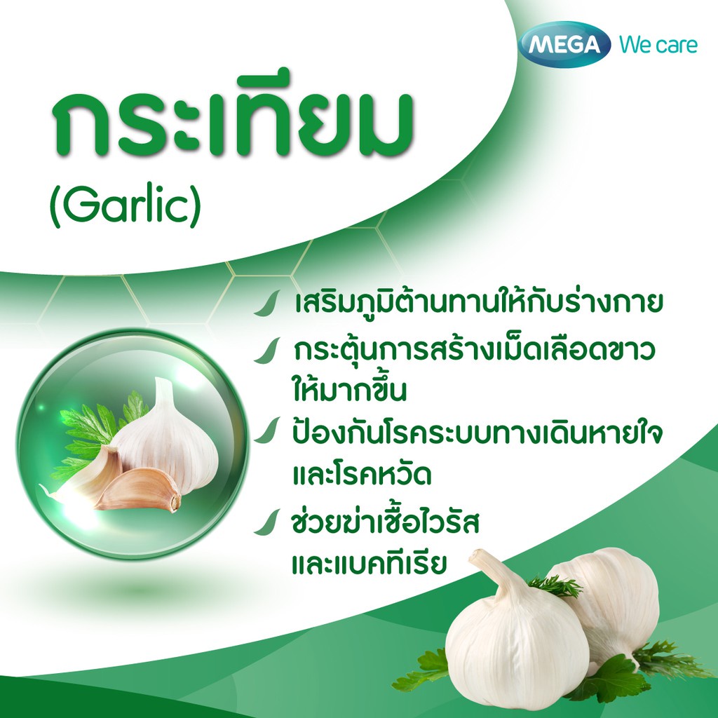 ภาพสินค้าMEGA We Care Garlic Oil (100 แคปซูล) เมก้า วี แคร์ น้ำมันกระเทียม บำรุงหลอดเลือด ลดไขมัน คอเลสเตอรอลสูง จากร้าน beausoth บน Shopee ภาพที่ 2