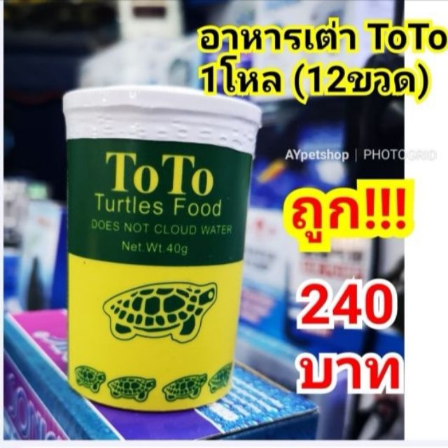 อาหารเต่าtoto-โตโต้-1โหล-12ขวด-ถูกที่สุด