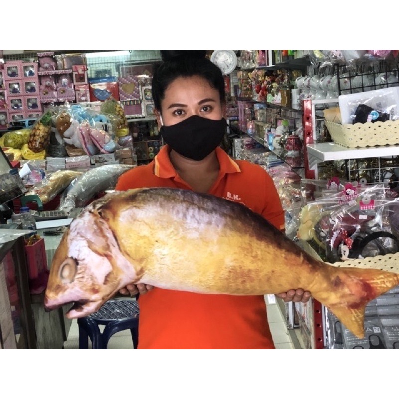 หมอนปลาทูทอด-ปลาทูนึ่งขนาด30นิ้วหรือ75cm