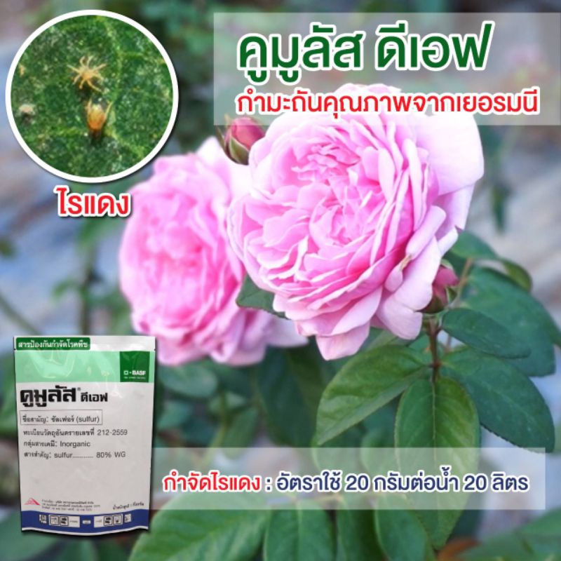 คูมูลัสกำมะถันนาโนจากเยอรมนีขนาด1กิโลกรัม-แพ็คเกจใหม่