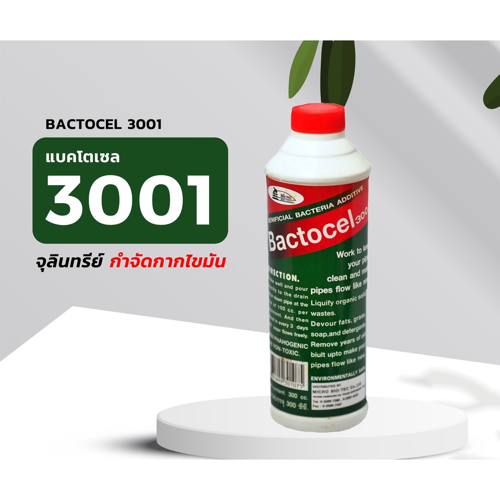 bactocel-ดับกลิ่นเหม็นไขมัน-โค้ด-bion388-ลด-15-ย่อยสลายไขมัน-แบคโตเซล-3001-300-ml-บ่อดักไขมัน-กลิ่นเหม็นไขมัน