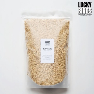 ข้าวโอ๊ต Oat groats ธัญพืชสำหรับนก นกแก้ว สัตว์เลี้ยง LUCKY BIRDS ขนาด 500กรัม และ1000กรัม