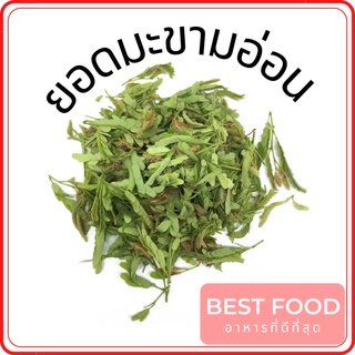 ยอดมะขามอ่อน ใบมะขามอ่อน ราคาถูก Young Tamarind leaves