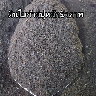 ดินใบก้ามปูหมักชีวภาพ