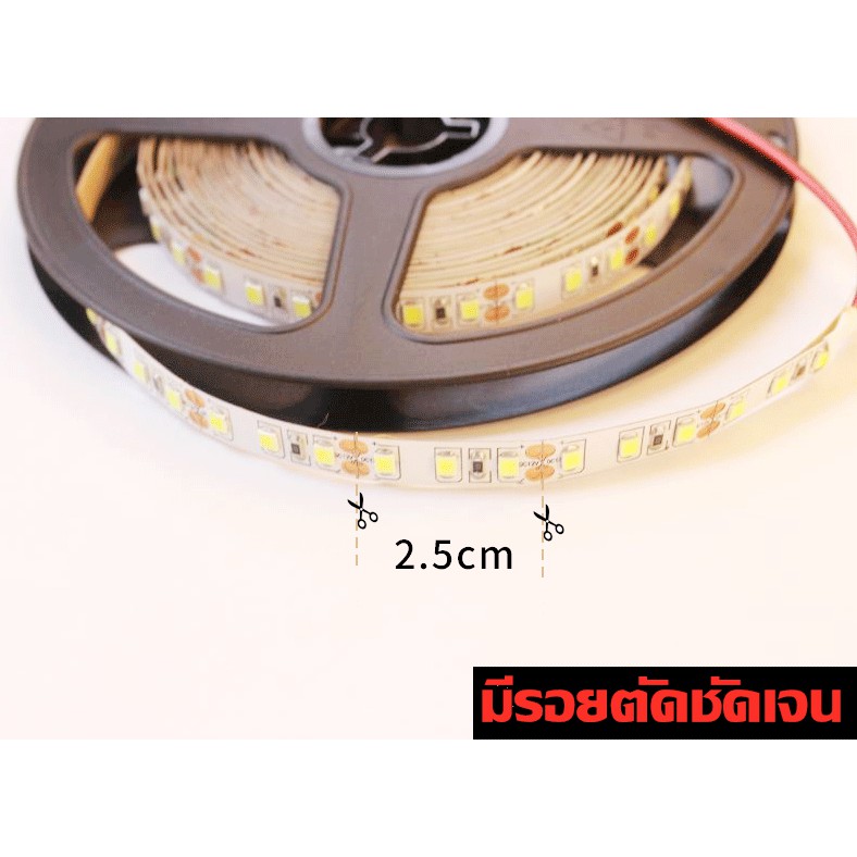 ภาพหน้าปกสินค้าLED Strip ไฟริบบิ้น LED2835 12V CHIP120เม็ด/M(5 เมตร) ไฟซ่อนฝ้า ไฟเส้น ไฟตู้โชว์ ไฟติดอาคาร ไฟตกแต่ง ไฟประดับ จากร้าน guohui201601 บน Shopee