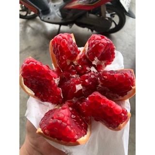 ทับทิมตรูนิเซีย 6ลูกส่งฟรี(Tunisian pomegranates)ลูกใหญ่