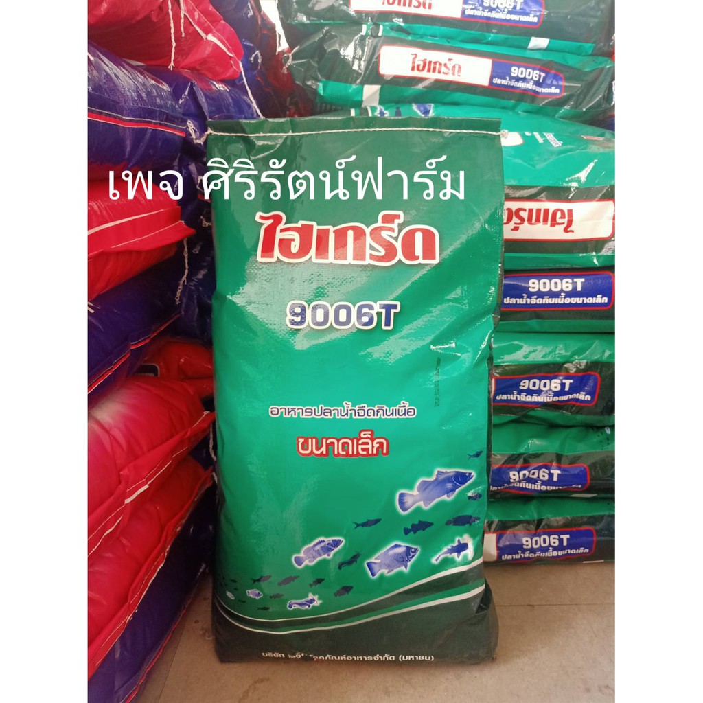 ไฮเกรด-โปรตีน42-ไฮเกร์ด-9006ที-ส่งไวมาก-อาหารปลาน้ำจืดขนาดเล็ก