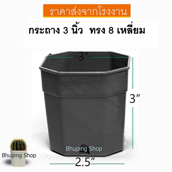 กระถางแปดเหลี่ยม-ขนาด-3นิ้ว-ชุด-25ใบ-กระถางแปดเหลี่ยม-กระถางแคคตัส-กระถางต้นไม้-กระถางไม้อวบน้ำ-หนา-ทนทาน