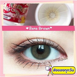 💖 Kitty Kawaii Bena brown gray สายตา -00 ถึง -1000 Contactlens คอนแทคเลนส์