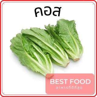 ผักสลัดคอสอินทรีย์ ผักสลัด Romaine