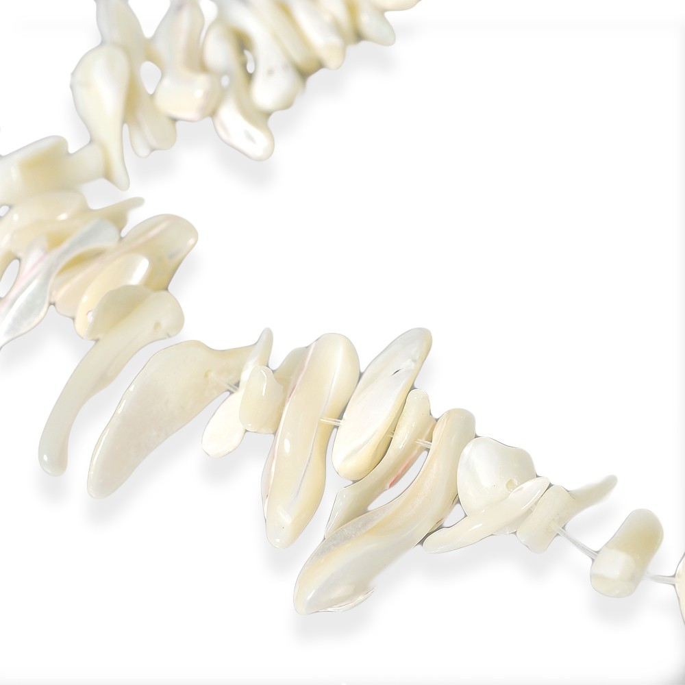 เปลือกหอยแท้-mother-of-pearl-ลักษณะเม็ดแท่ง-stick-lz-0385-สีขาว