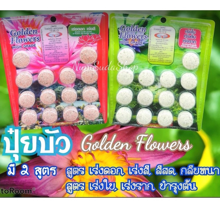 ปุ๋ยบัว ปุ๋ยบอน ปุ๋ยบอนสี ปุ๋ยไม้น้ำ Golden Flower…