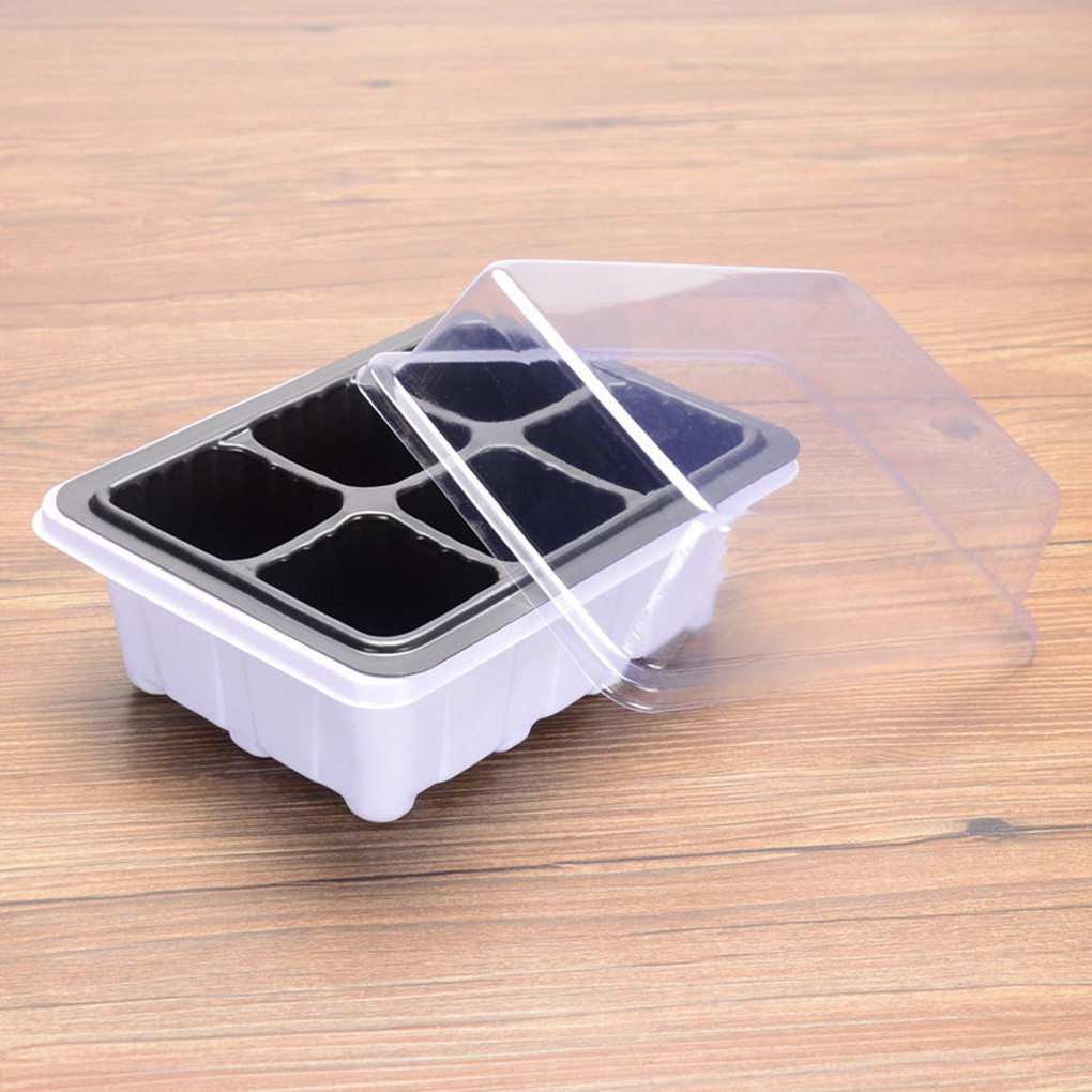 กล่องปลูกเมล็ดพืช-รักษาความชื้น-แบบ-6-ช่อง