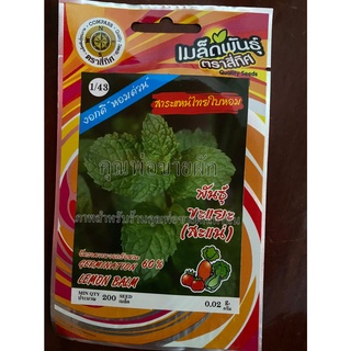 เมล็ดสาระแหน่ 10 แถม 1 สาระแหน่ ใบหอม lemon balm เมล็ดพันธุ์ผัก สาระแหน้ สะระแหน่