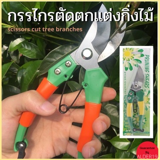 กรรไกรตัดกิ่ง สแตนเลส กรรไกรแต่งกิ่ง ขนาดพกพา Pruning shears Garden scissors cut tree branches กรรไกรตัดตกแต่งกิ่งไม้