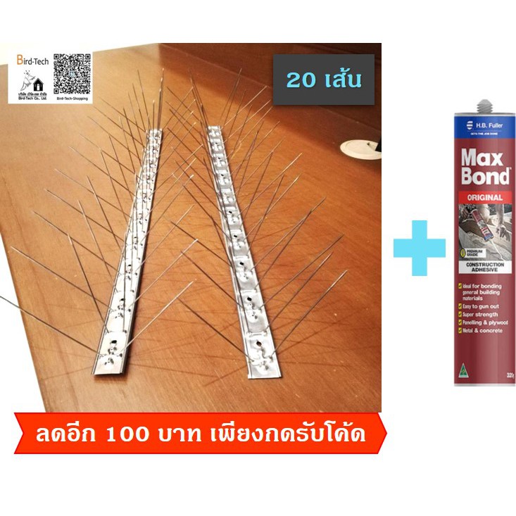 หนามกันนกฐาน-สแตนเลส-ปลายแหลม-20-เส้น-แถม-กาวตะปู-1หลอด