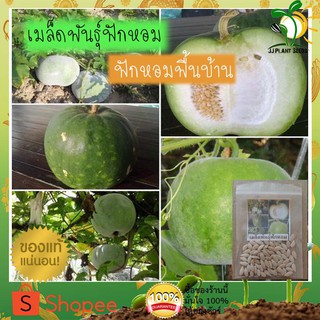 เมล็ดพันธุ์ ฟักหอม พันธุ์พื้นบ้าน จำนวน 75 เมล็ด เนื้อแน่น หอม รสชาติดี ปลูกได้ทั้งปี By JJ.Plant Seed ฟักหอม