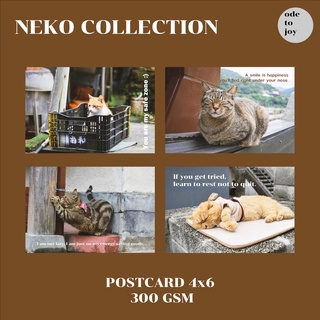 Postcard 4x6 โปสการ์ดตกแต่งห้อง ติดผนัง รูปแมว [NEKO COLLECTION]