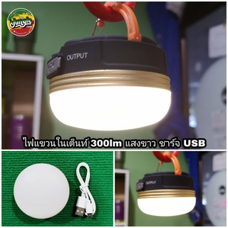 ไฟแขวนในเต็นท์ 300 ลูเมน แสงขาว ปรับแสงสามระดับ ชาร์จ USB เปิดต่อเนื่อง 6 ชั่วโมง แป้นแม่เหล็ก ห่วงคลิปแขวนได้ (TJT)