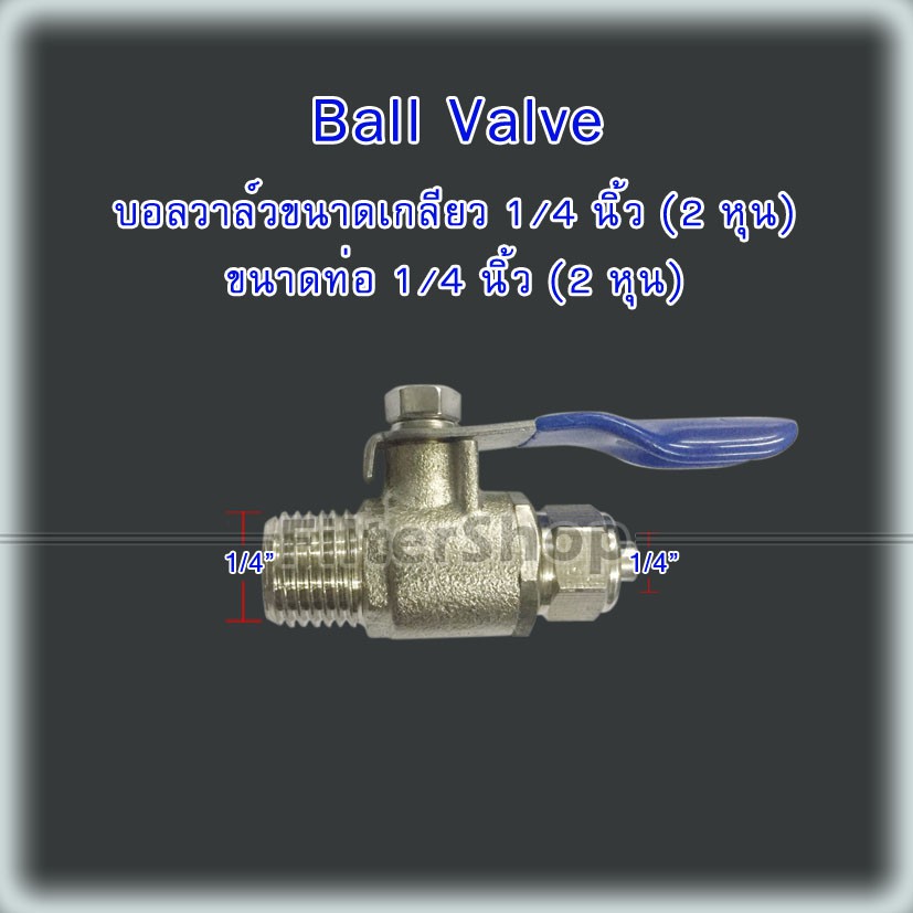 ราคาและรีวิววาล์ว เครื่องกรองน้ำขนาด 1/4 (น้ำเงิน) เกลียวนอก 1/4 MIP