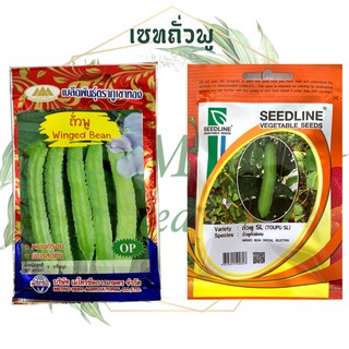 เมล็ดพันธุ์ ถั่วพู ( WINGED BEAN )