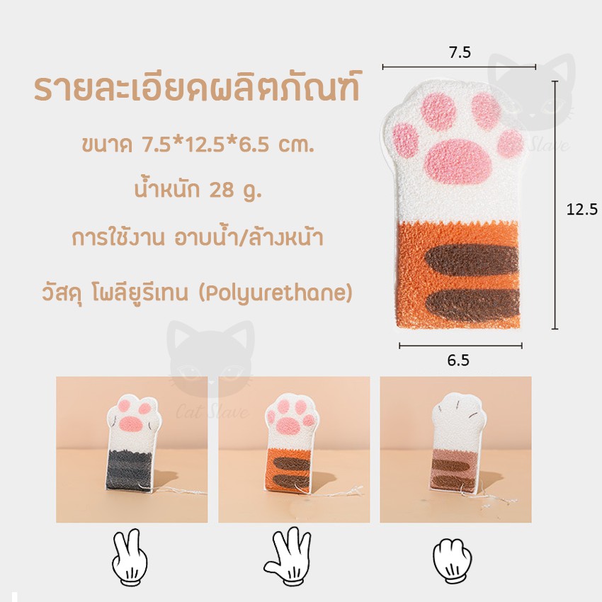 ภาพสินค้าฟองน้ำ ฟองน้ำมือแมว ใยอาบน้ำ ฟองน้ำมหัศจรรย์ ฟองน้ำนาโน ฟองน้ำขัดระเบิดขี้ไคล จากร้าน jumpingcat บน Shopee ภาพที่ 1