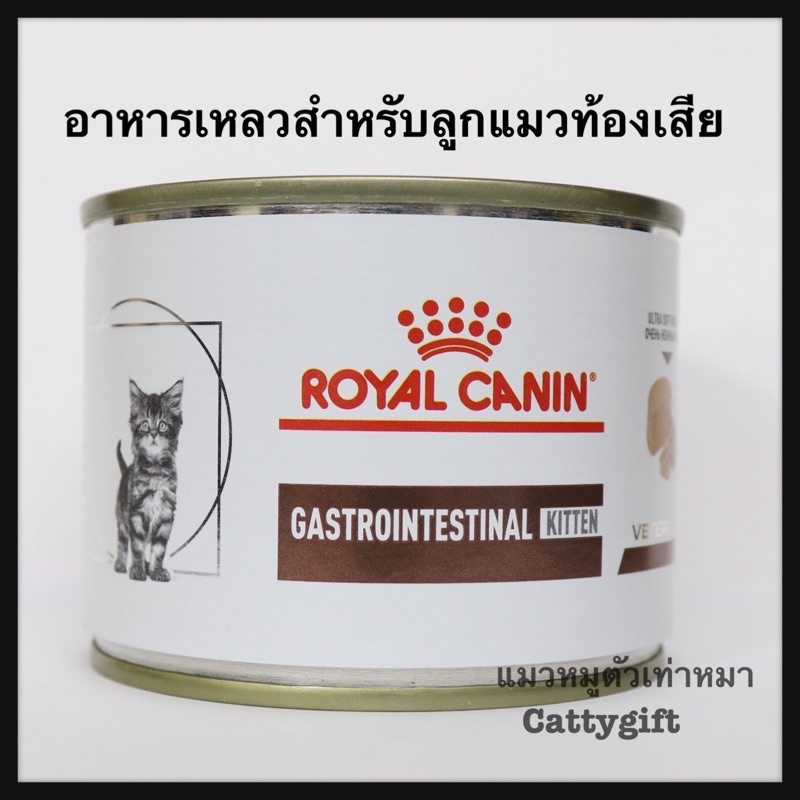 อาหารเหลวลูกแมวท้องเสีย-gastrointestinal-kitten