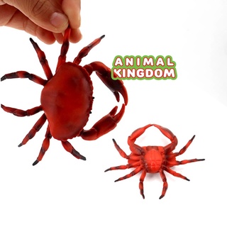 Animal Kingdom - โมเดลสัตว์ ปูนา แดง ขนาด 9.40 CM (จากสงขลา)